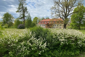 Garden of Oleri Manor