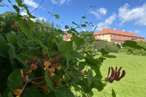 Atvērtās dienas Oleru muižas dārzā 2025